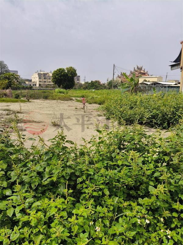 永靖興寧段美田地