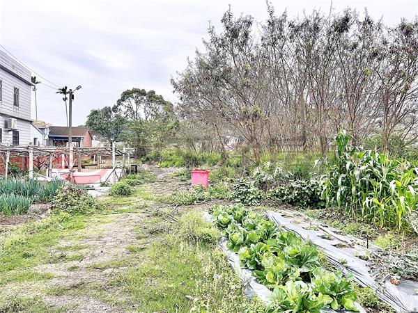 苑裡華陶窯甲建