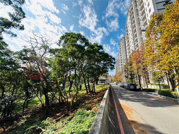 楊梅幼獅稀有建地