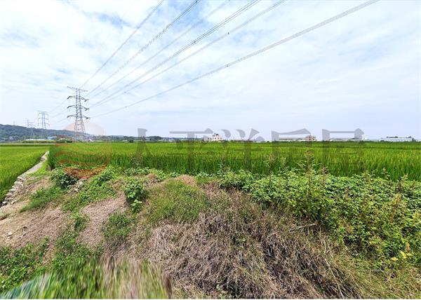 前臨路美田地