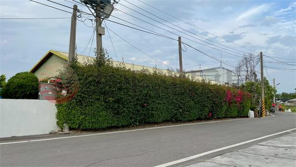 路葡萄隧道休閒農場