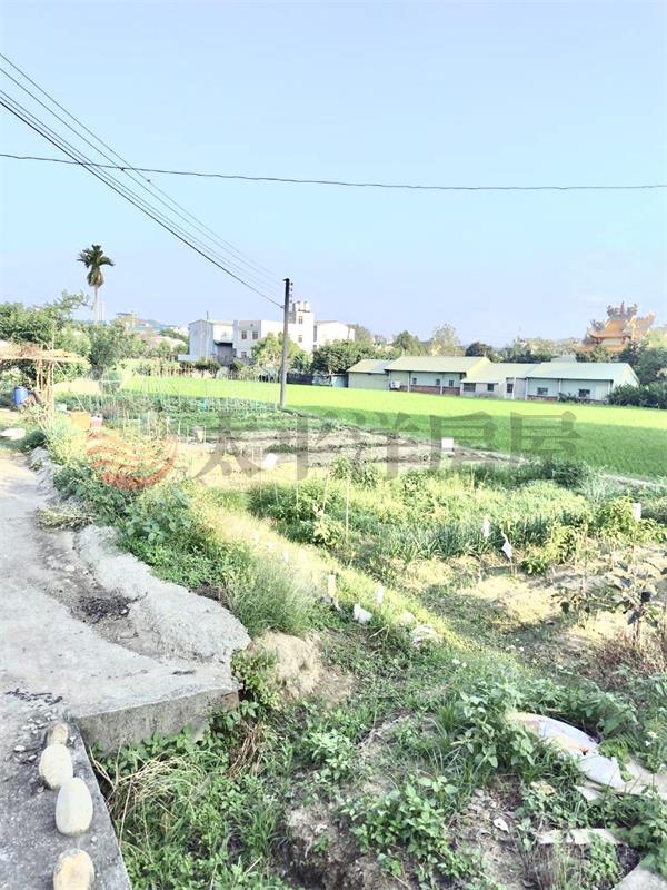 舊圳路農地+農舍