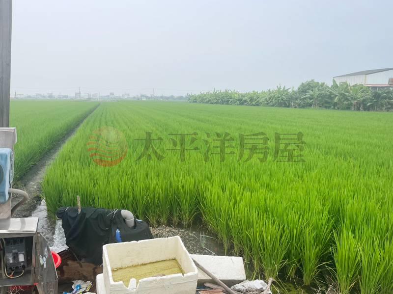 溪湖正竹頭仔路朝南美田