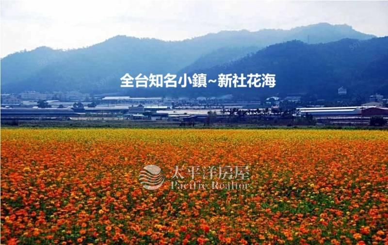 ㊣新社區~又見炊煙旁(丙)建地100坪