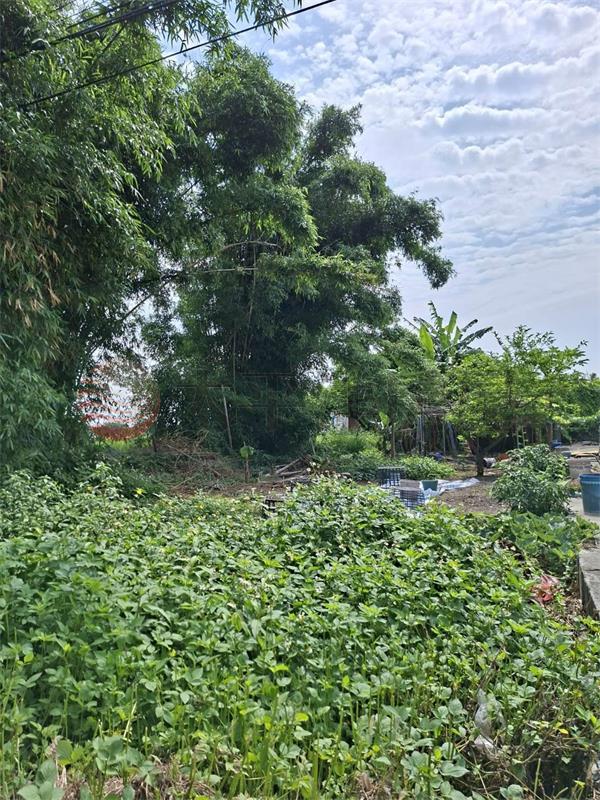 二林企業家天下附近二溪路旁建地