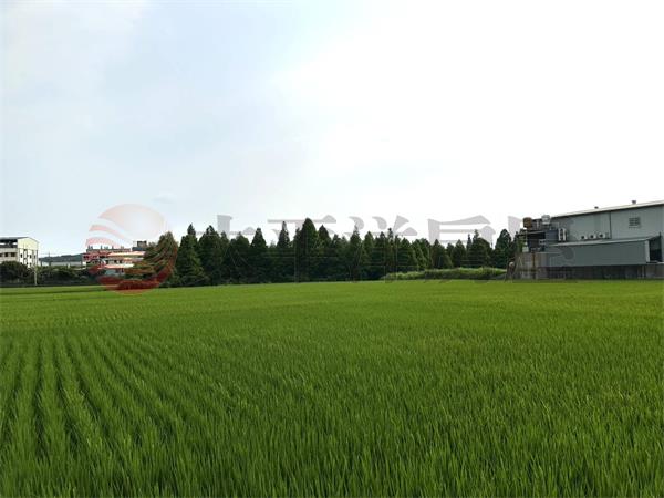 正聖安路方正農地