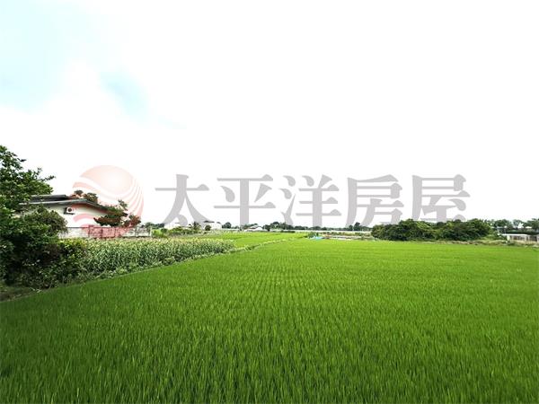 正彰南路方正農地