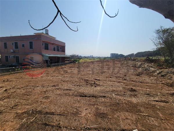 山東國小旁農地