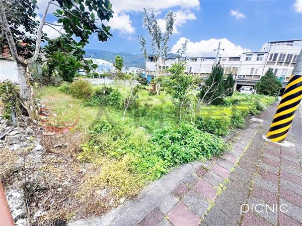 花蓮光復鄉大安段建地