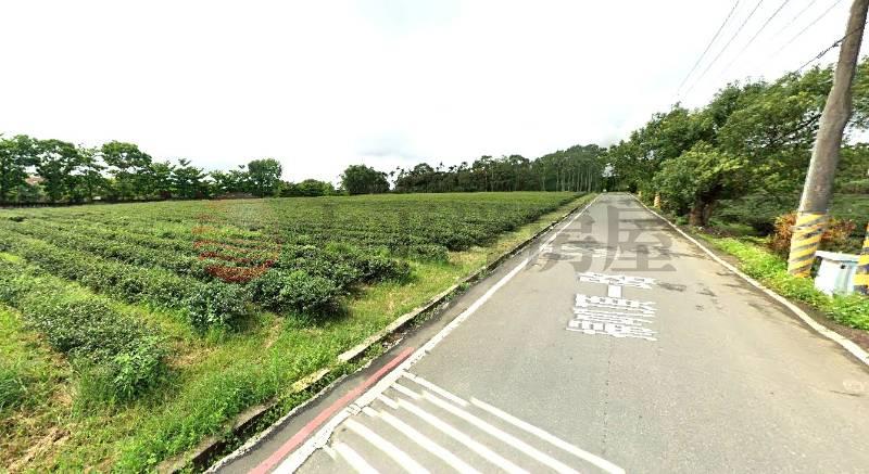 花蓮瑞穗新舞鶴山坡保育B