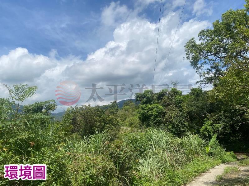寒溪5587坪山坡原保地