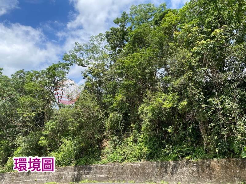 寒溪1979山林原保地