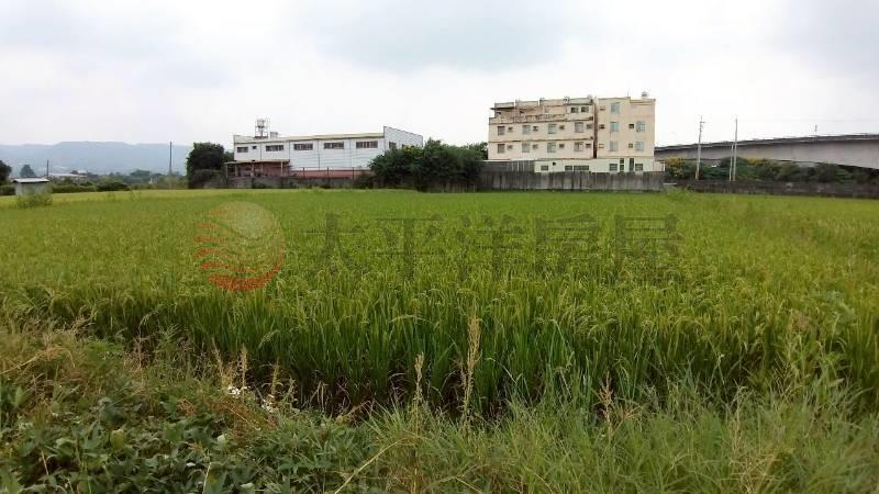 東西向旁明倫段田地