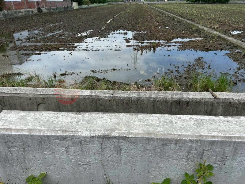 永靖近東彰路美田