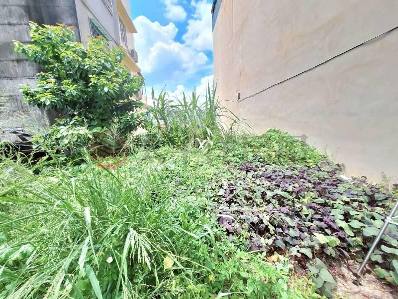 創新園區旁優質建地