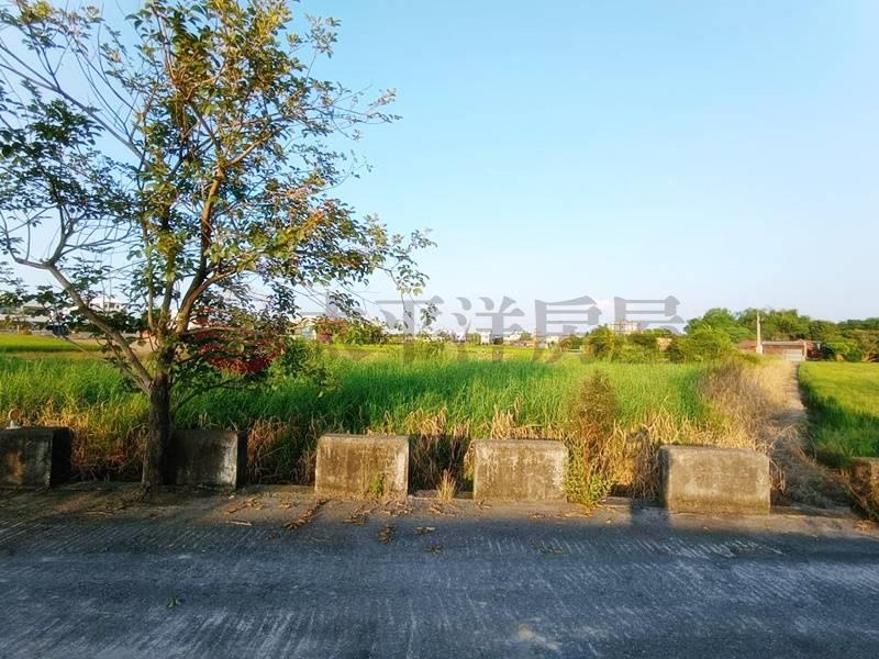 近文祥國小A級農地(可以投保農保)