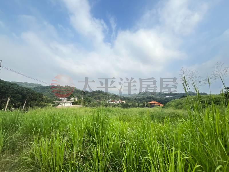 大坑日光溫泉珍稀寶地