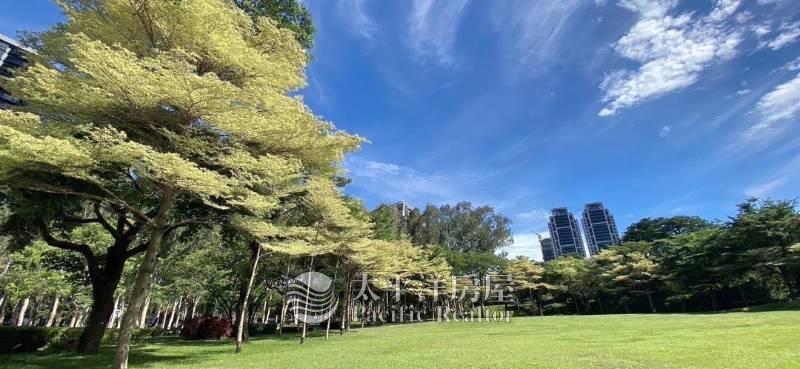 文心森林公園高樓層四房