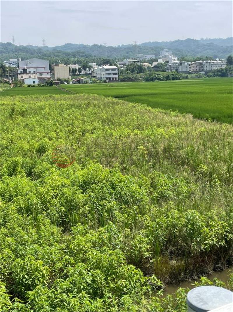 正東彰路旁美田