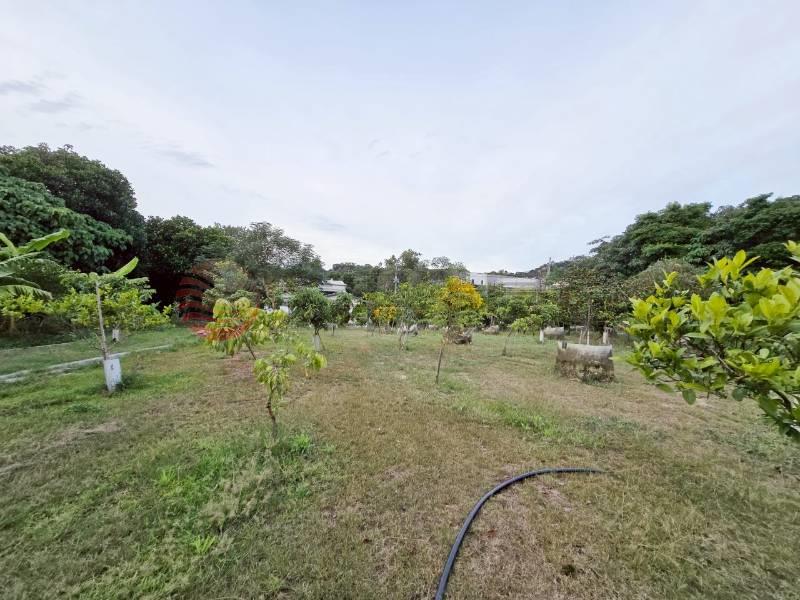 員草綠境園農牧用地