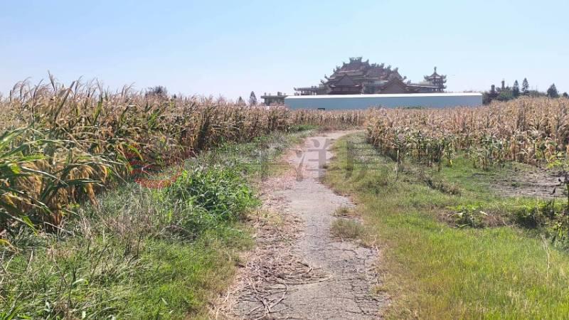 芳苑海空步道旁都內田+田地