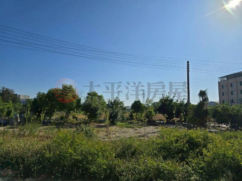 秀水馬鳴潛力地(田+建)