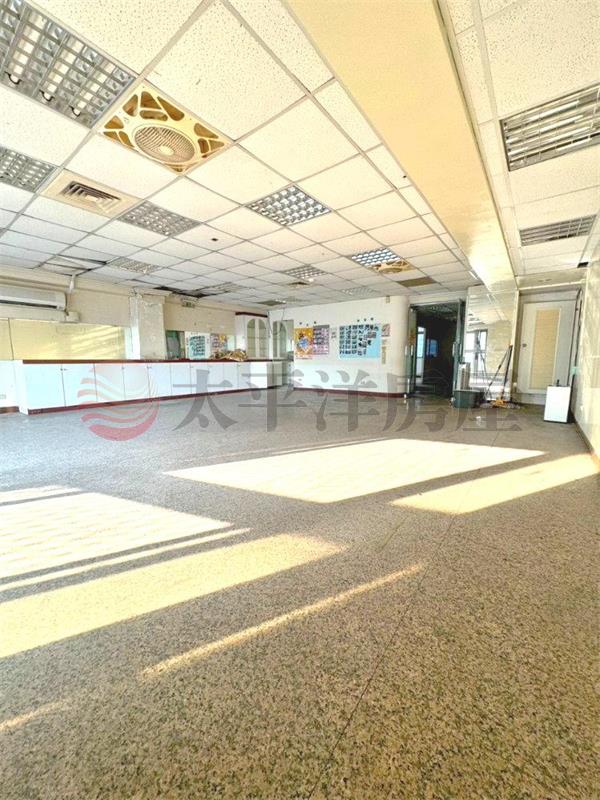 民生國小大建坪華廈