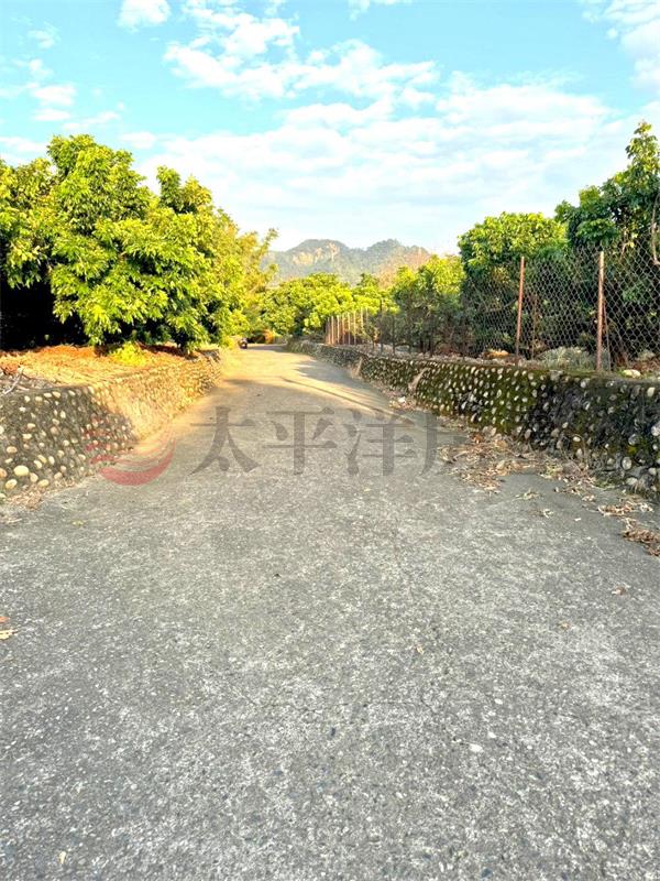 社頭清興路農地