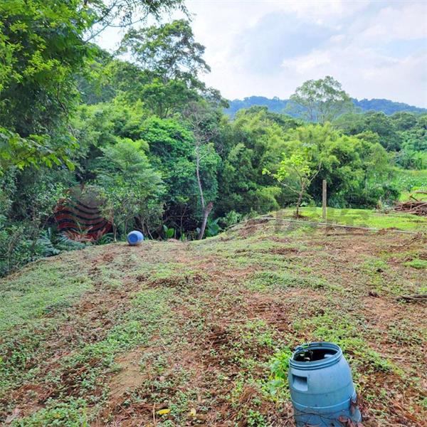 桃園大溪金山休閒農地