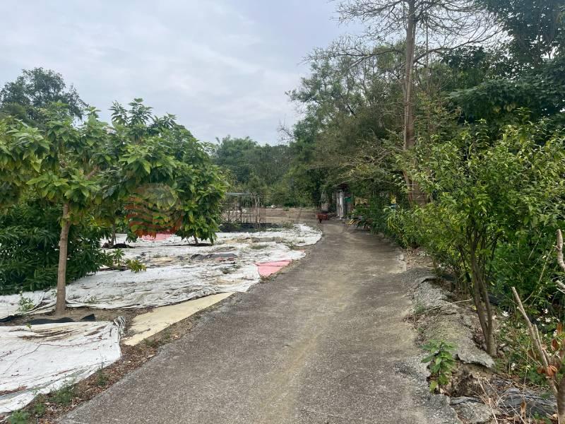 花壇三分寶地農地