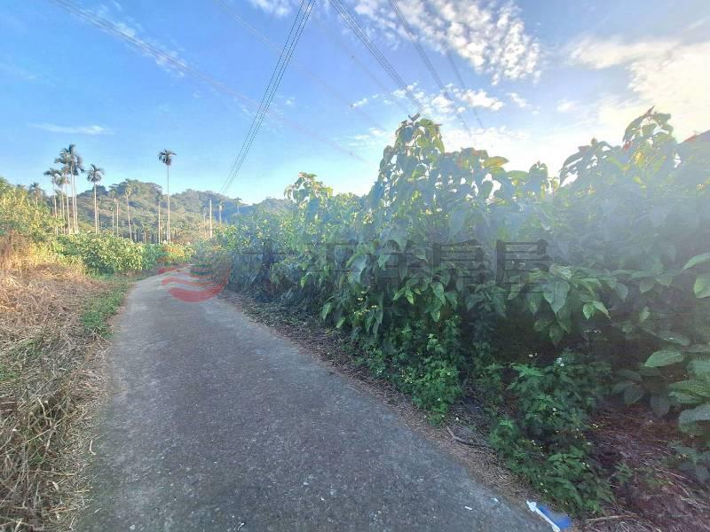 北中寮樟平農地3分6