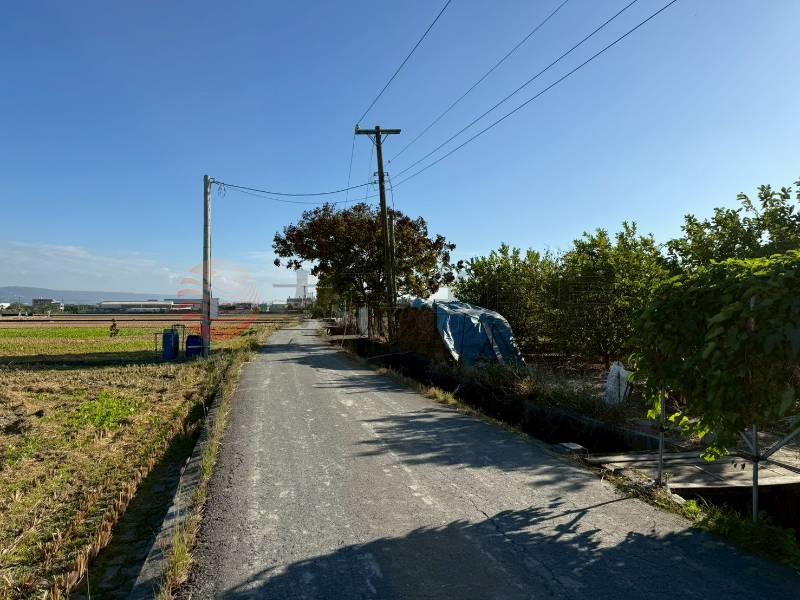 大村近中山路美田