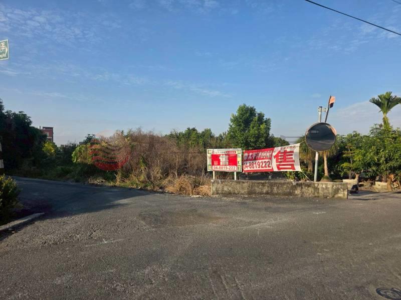 永靖永社路旁雙面路美田
