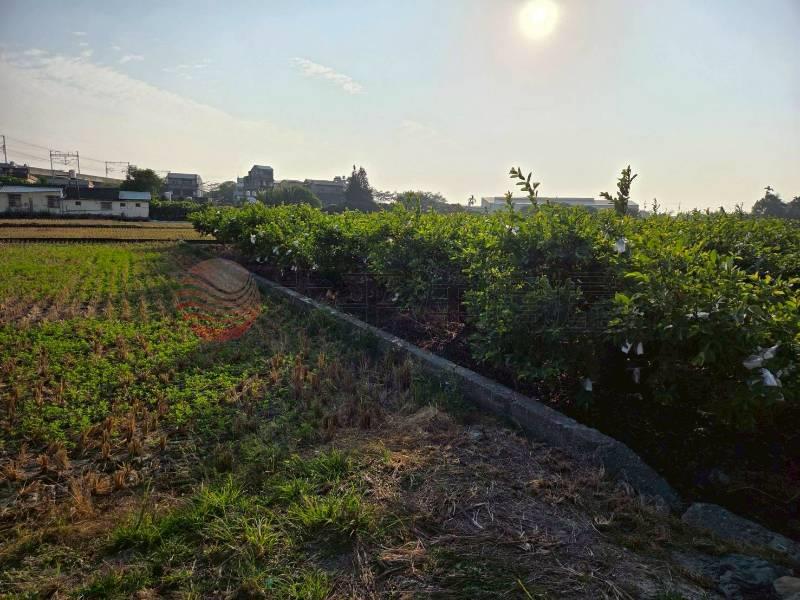 社頭舊社公園旁大面寬農地