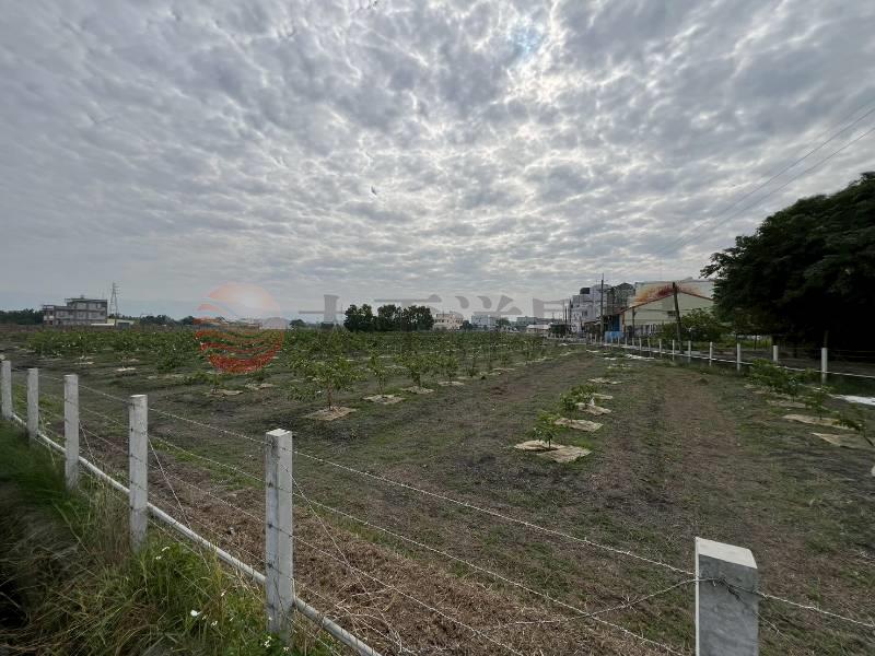 社頭東彰路旁角田