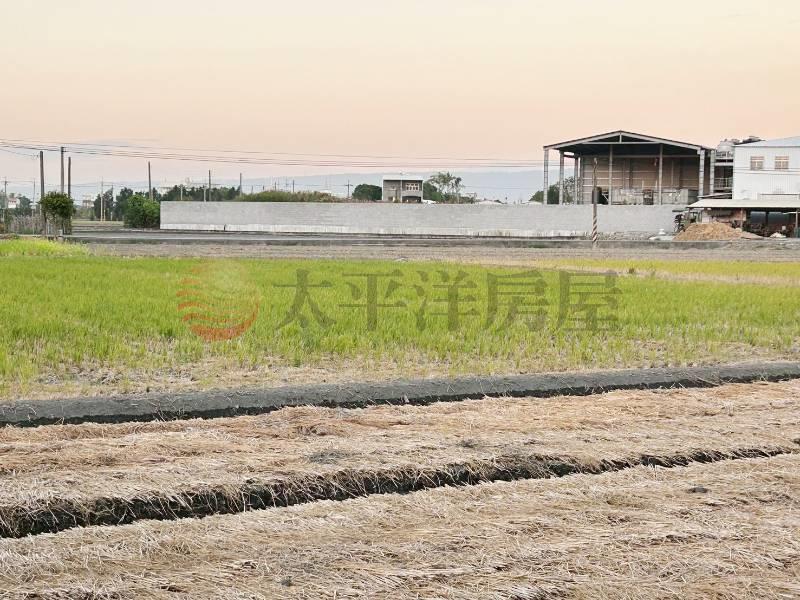 北斗近興農路農保田