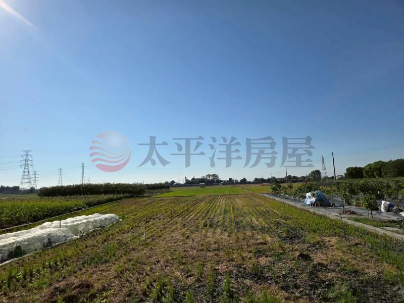 社頭近高鐵大地坪農地