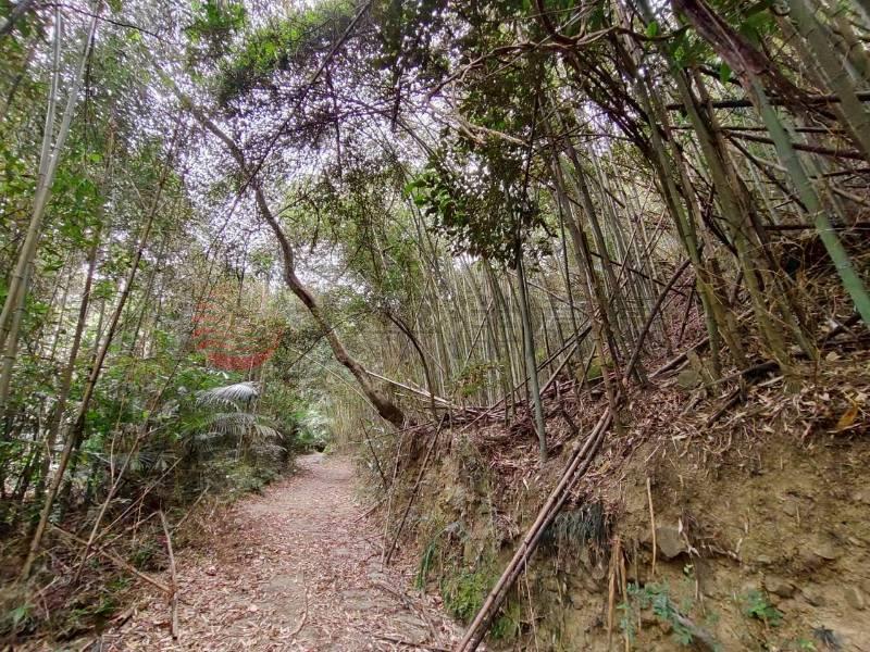 苗栗獅潭鄉風景林地