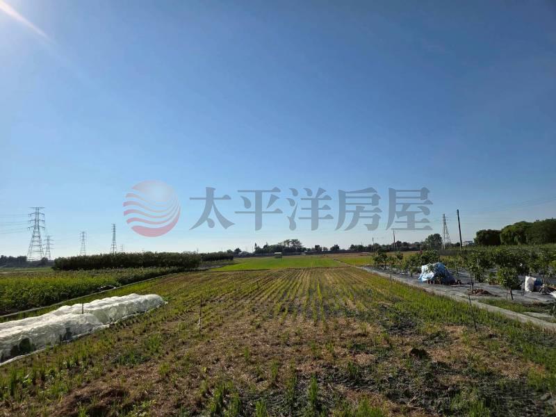 社頭近高鐵漂亮農地