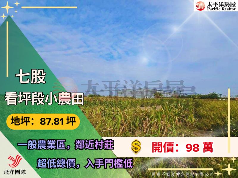 七股看坪小農田
