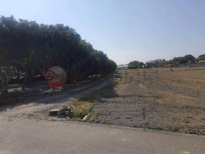 埔心埔新路都內美田