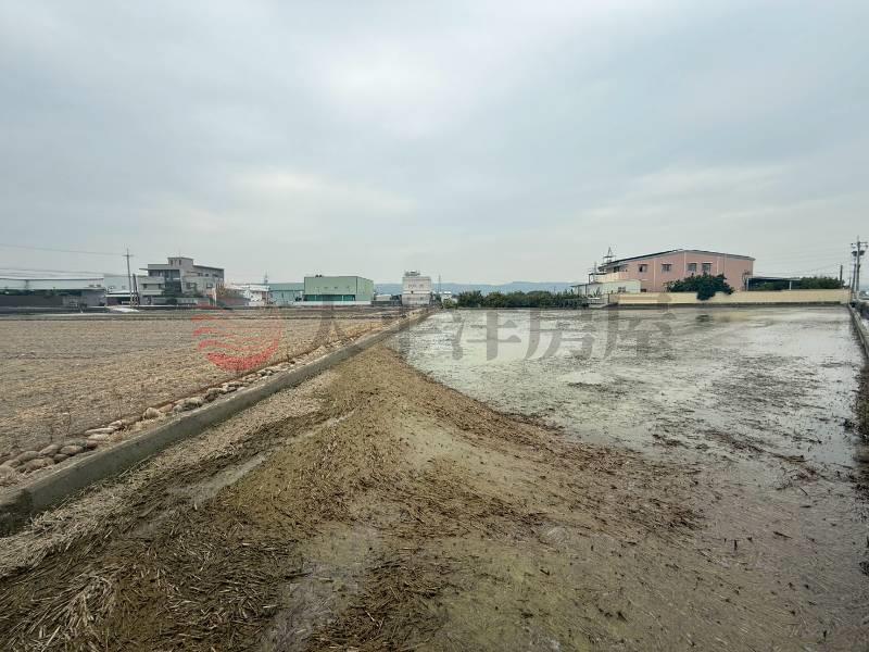 石川三角地大面寬美農地