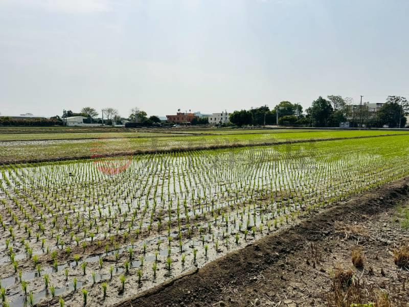 彰化市景觀公園雙面路美田