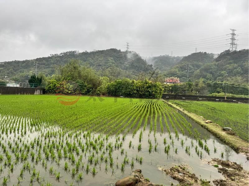 新竹新埔新北段優質農地
