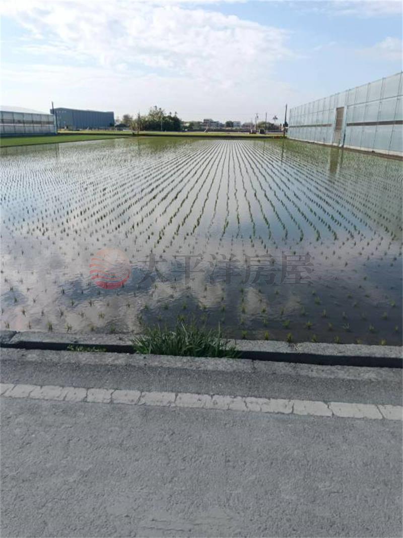 埔鹽活路活巷美田