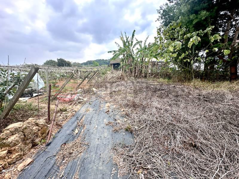 石岡約百坪丙種用地