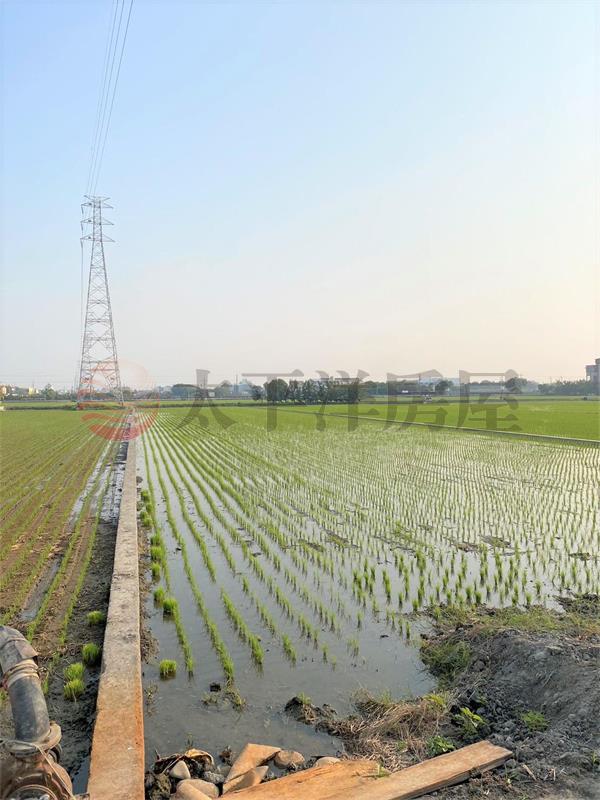 永靖星光大橋旁美田