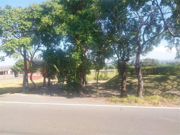 田中民光開心農場