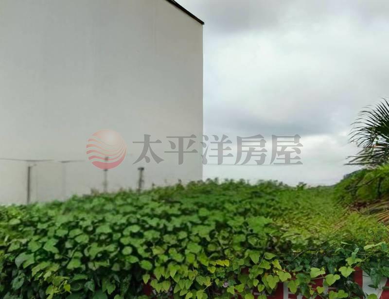 新民新福美建地