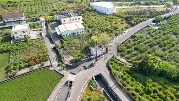 社頭雙面路都內農田